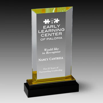 Crystal Acrylic Fusion Beveled Rectangle Award
