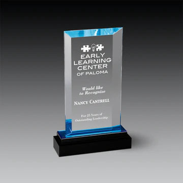 Crystal Acrylic Fusion Beveled Rectangle Award
