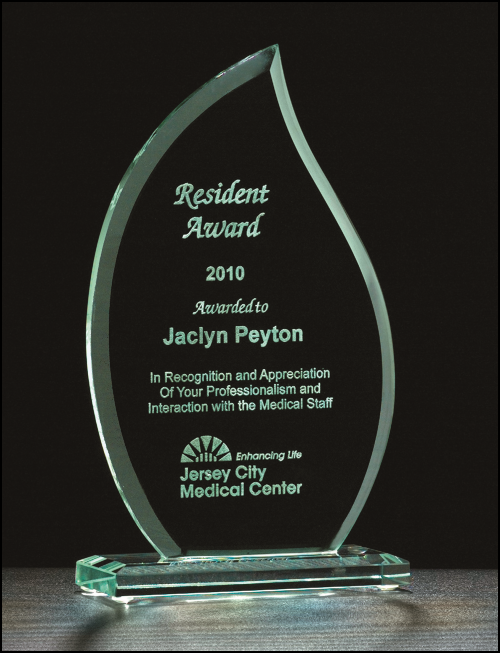 Flame Series Glass Award