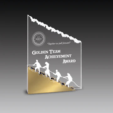 Sculptured Frosted Mountain Award