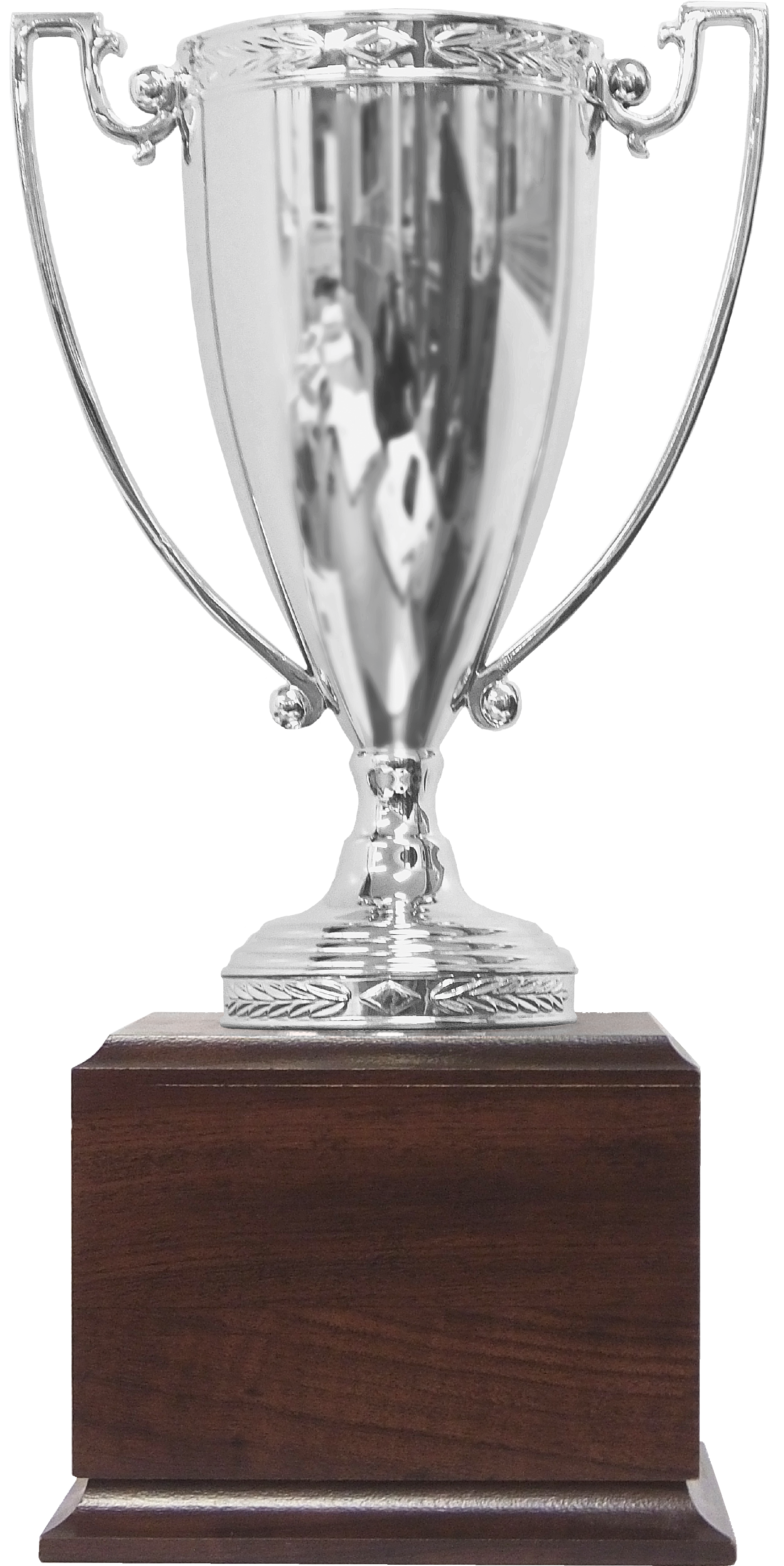 Z Series Silver Metal Award Cup