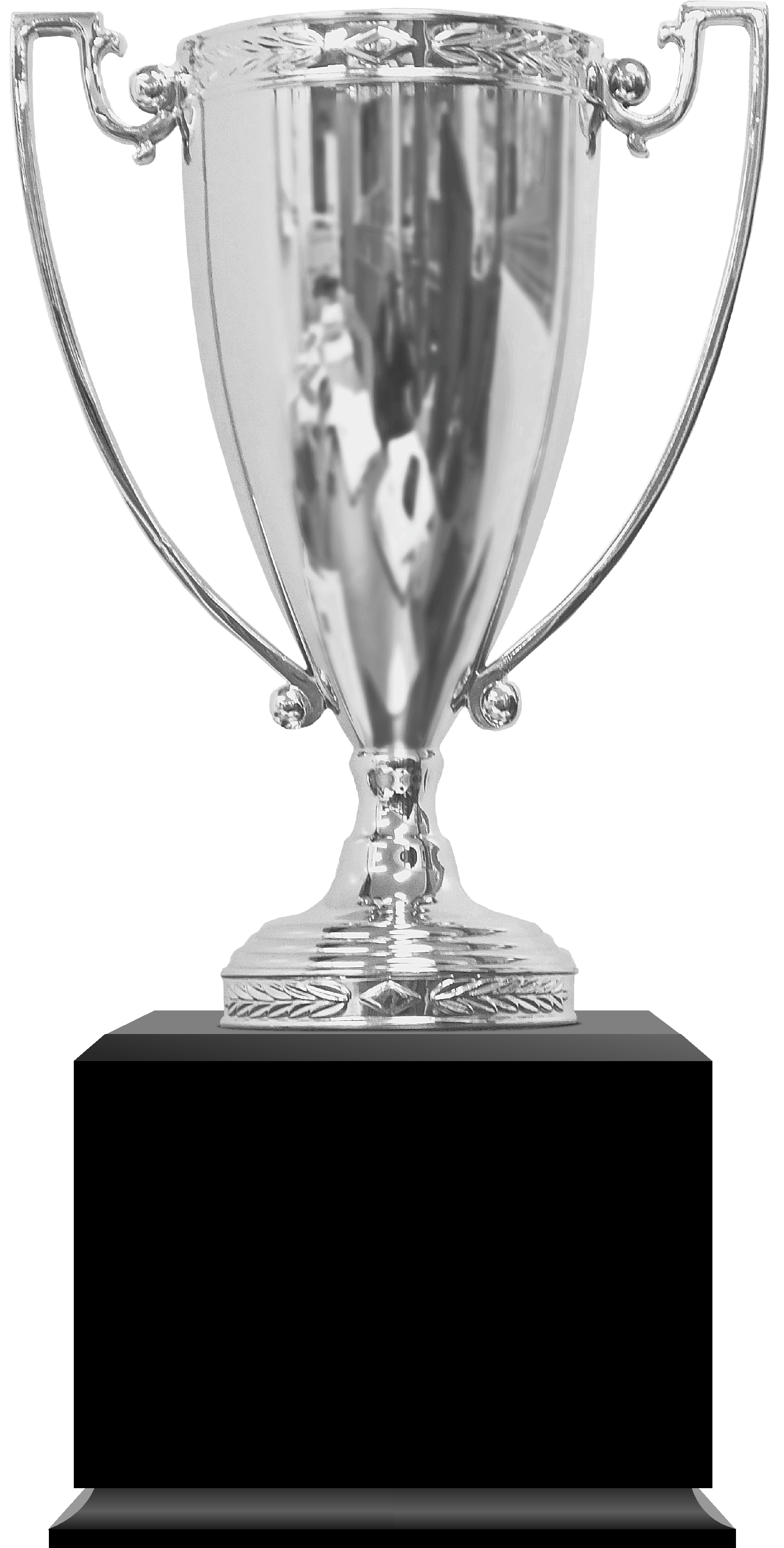 Z Series Silver Metal Award Cup - Black Base