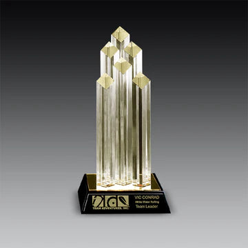 Diamond Cut Towers Award