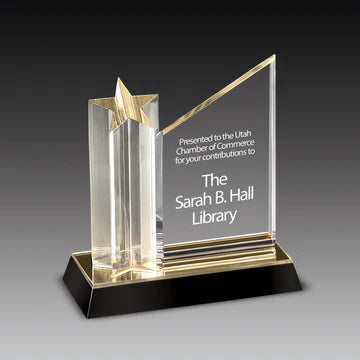 Star Achiever Award