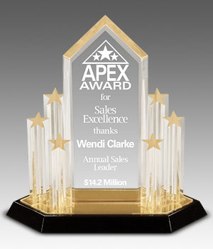 Stellar Performance - Outstanding Achievement Award